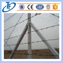 High Security 9 Gauge Barbed Wire